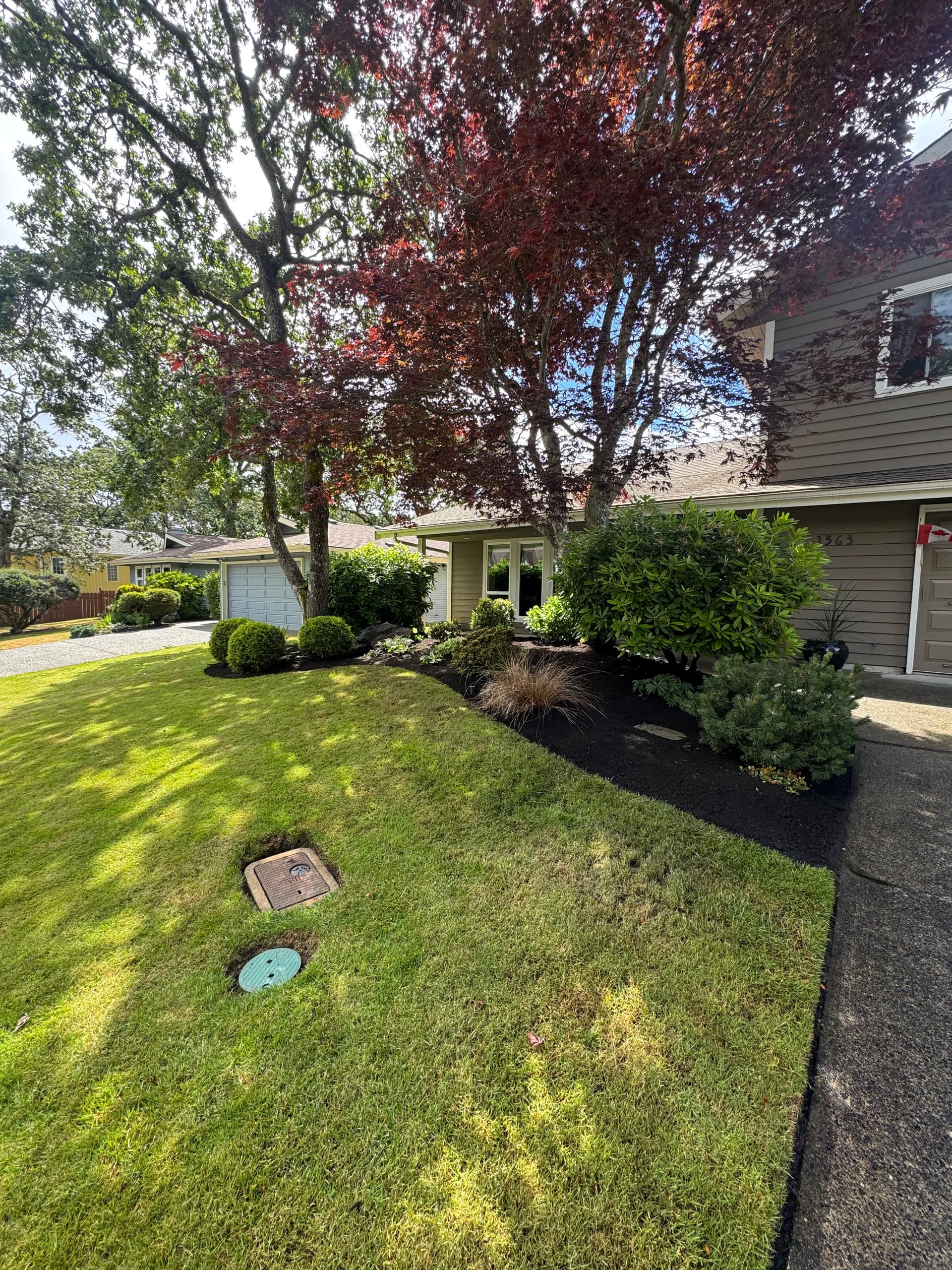 Fresh Mulch Makes a Front Yard Look This Good image