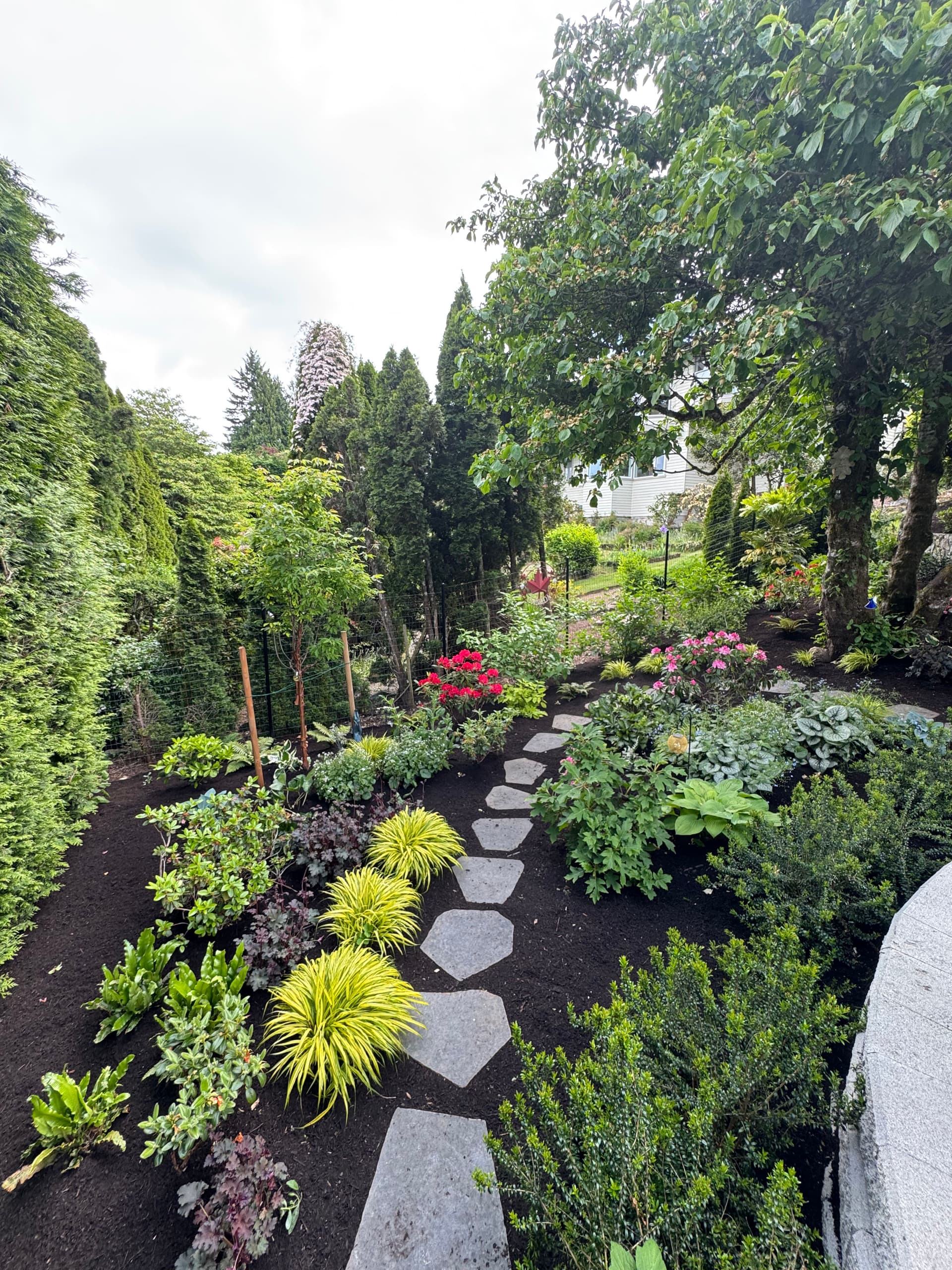 Gallery photos for A Stone Path Garden That Actually Gets Better Every Year: Image #2