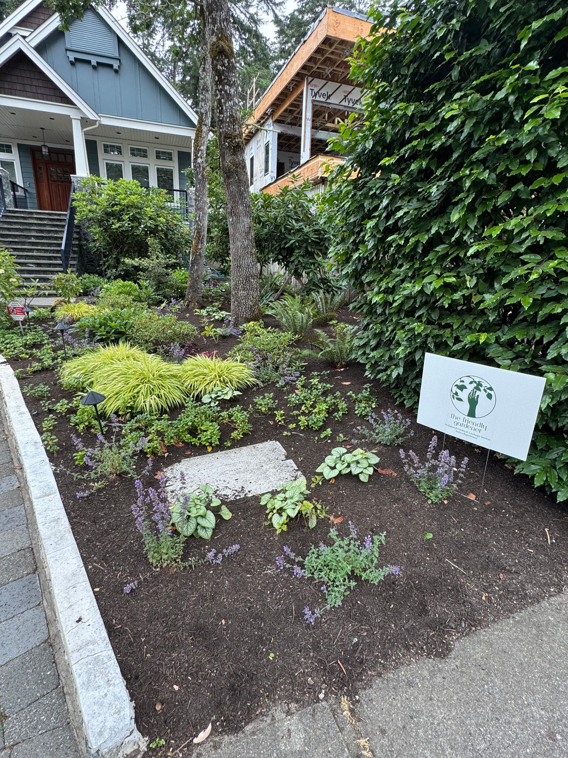 A Garden That's Ready to Grow Into Something Special image