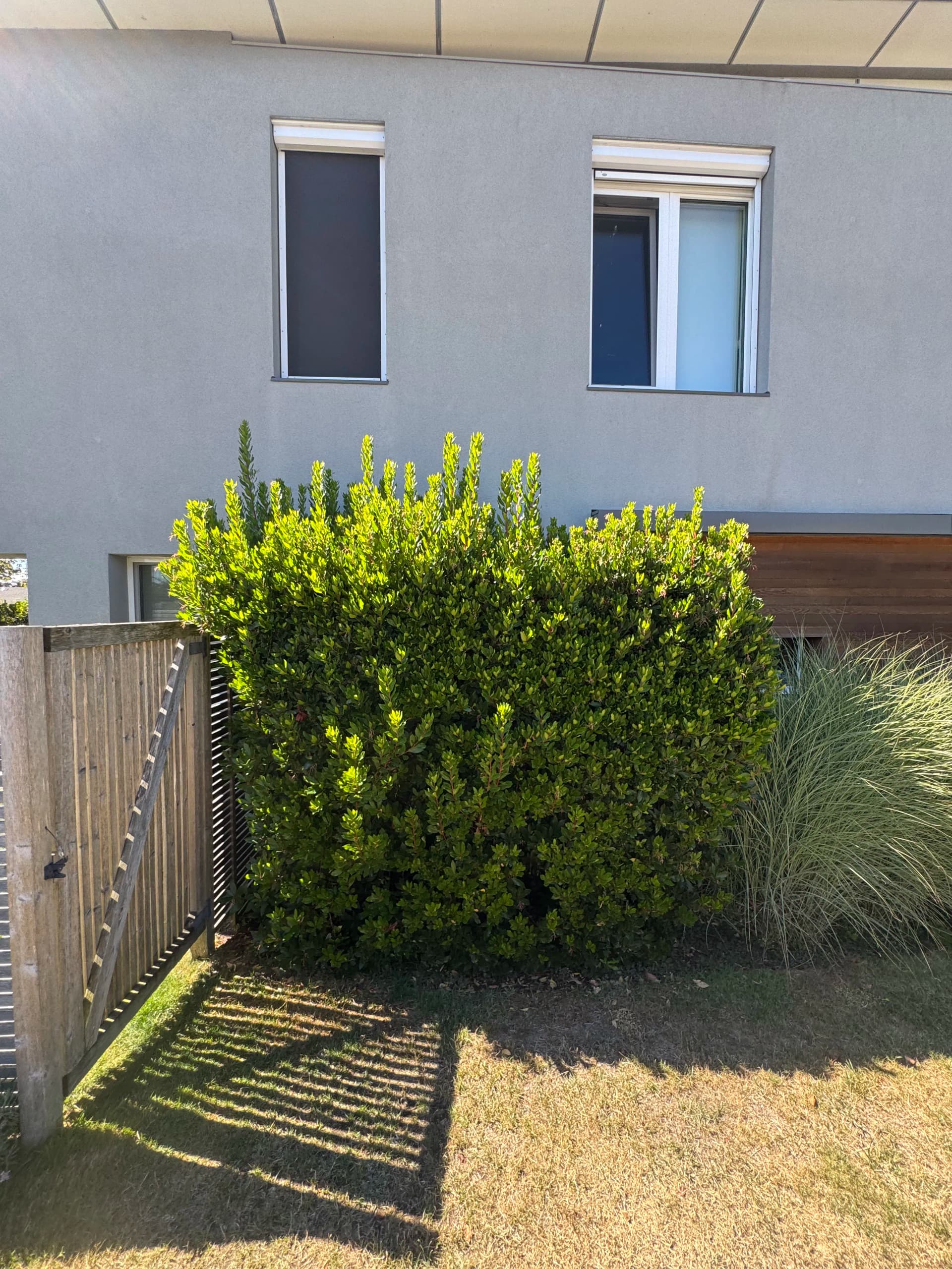 Gallery photos for Sharp Hedge Trim That Makes a Property Look Cared For: Image #2