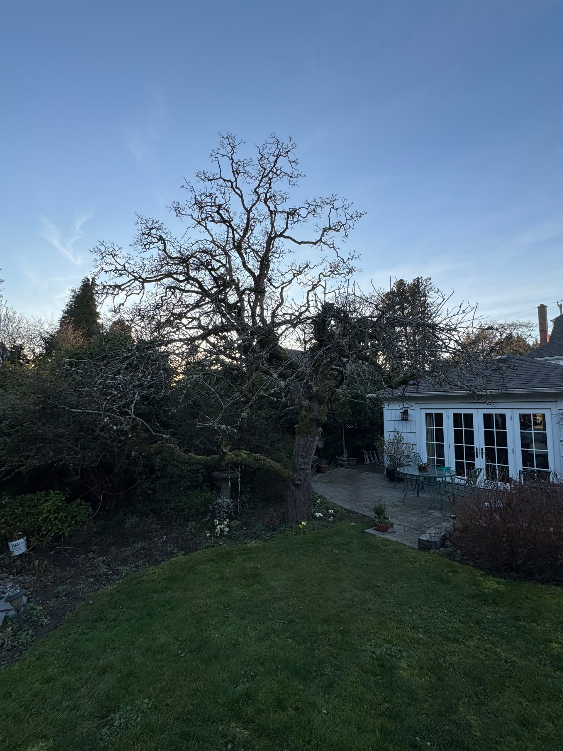 Gallery photos for Turning Gardens Into Magical Spaces From Dawn Till Dusk: Image #1