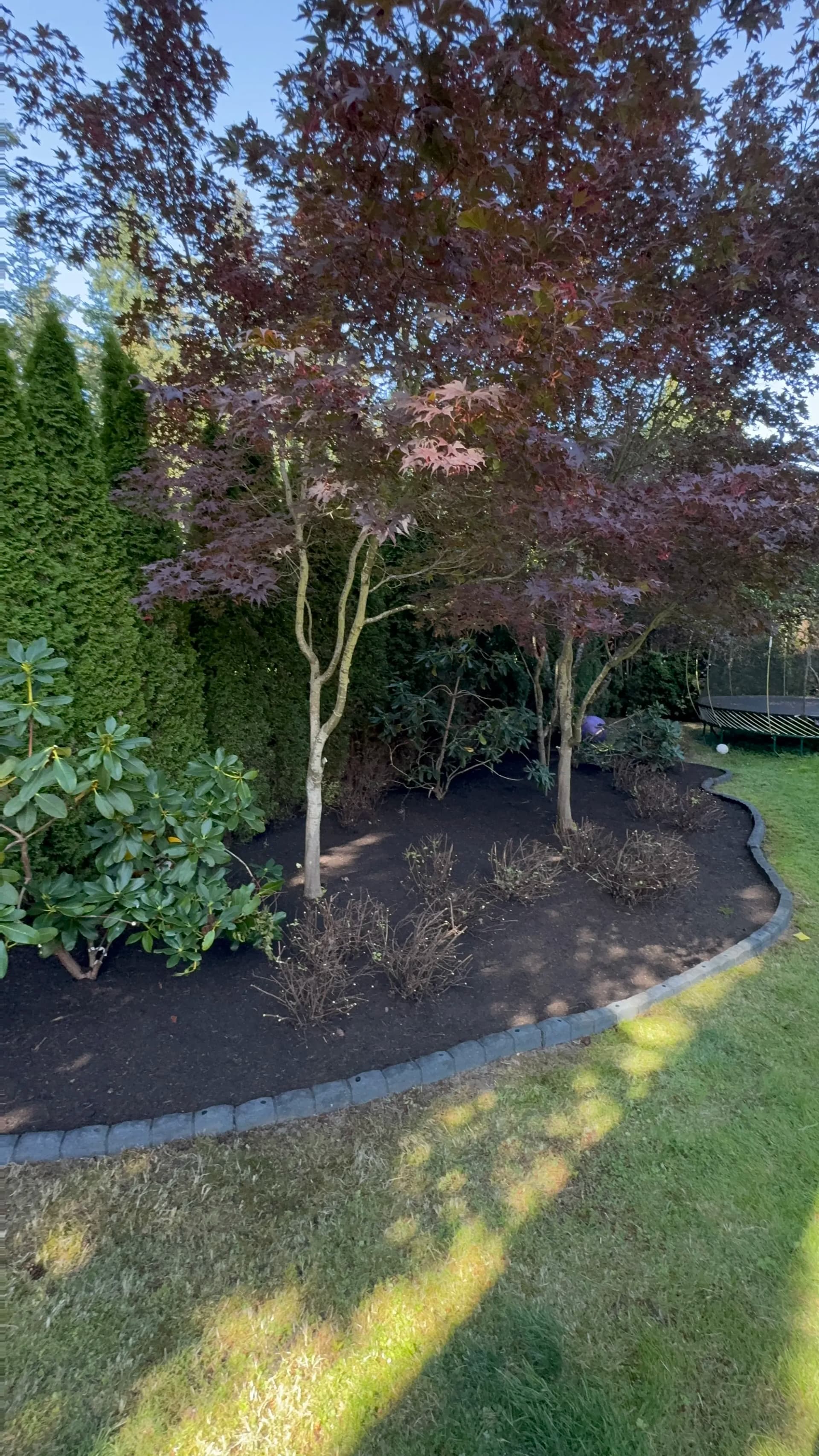 Fresh Mulch Makes Your Planting Beds Look Sharp image