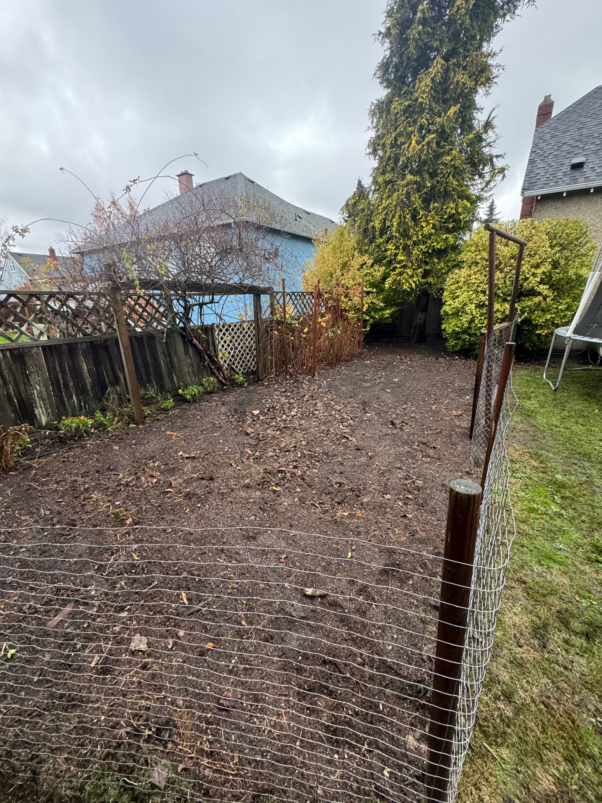 Gallery photos for Weed and Grass Removal Sets Stage for a Vibrant Garden: Image #1