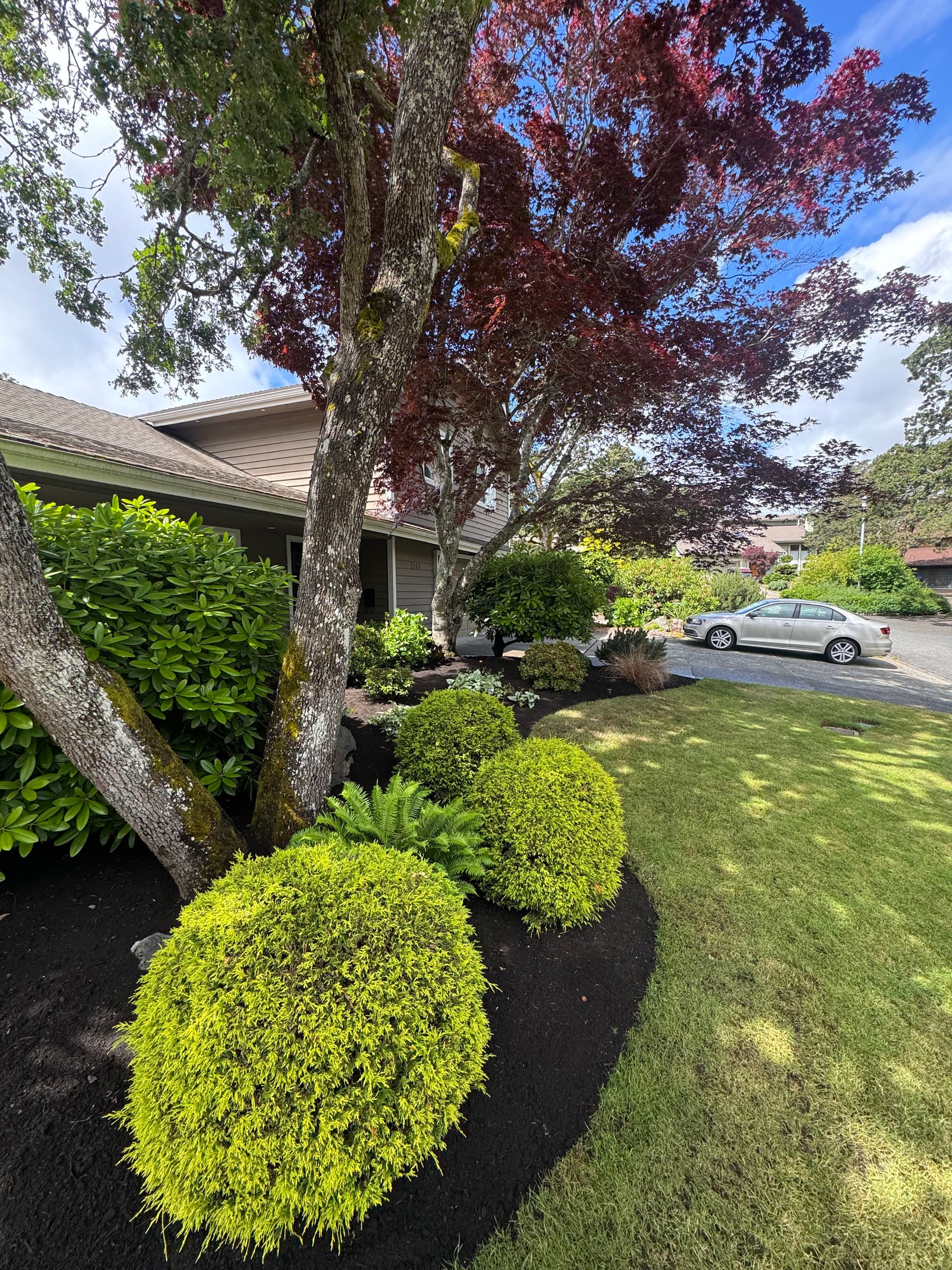 Gallery photos for Fresh Mulch Makes a Front Yard Look This Good: Image #1