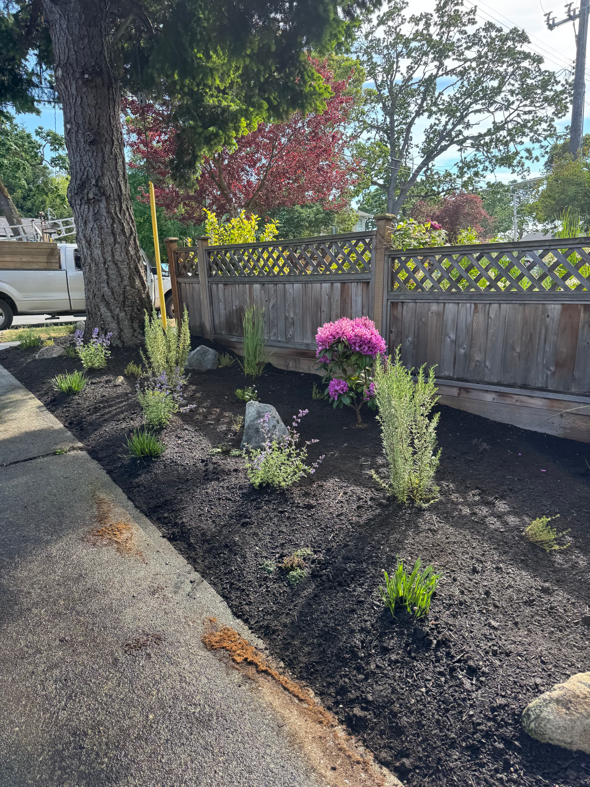 Gallery photos for Front Yard Garden Installation That Actually Fits the Space: Image #3