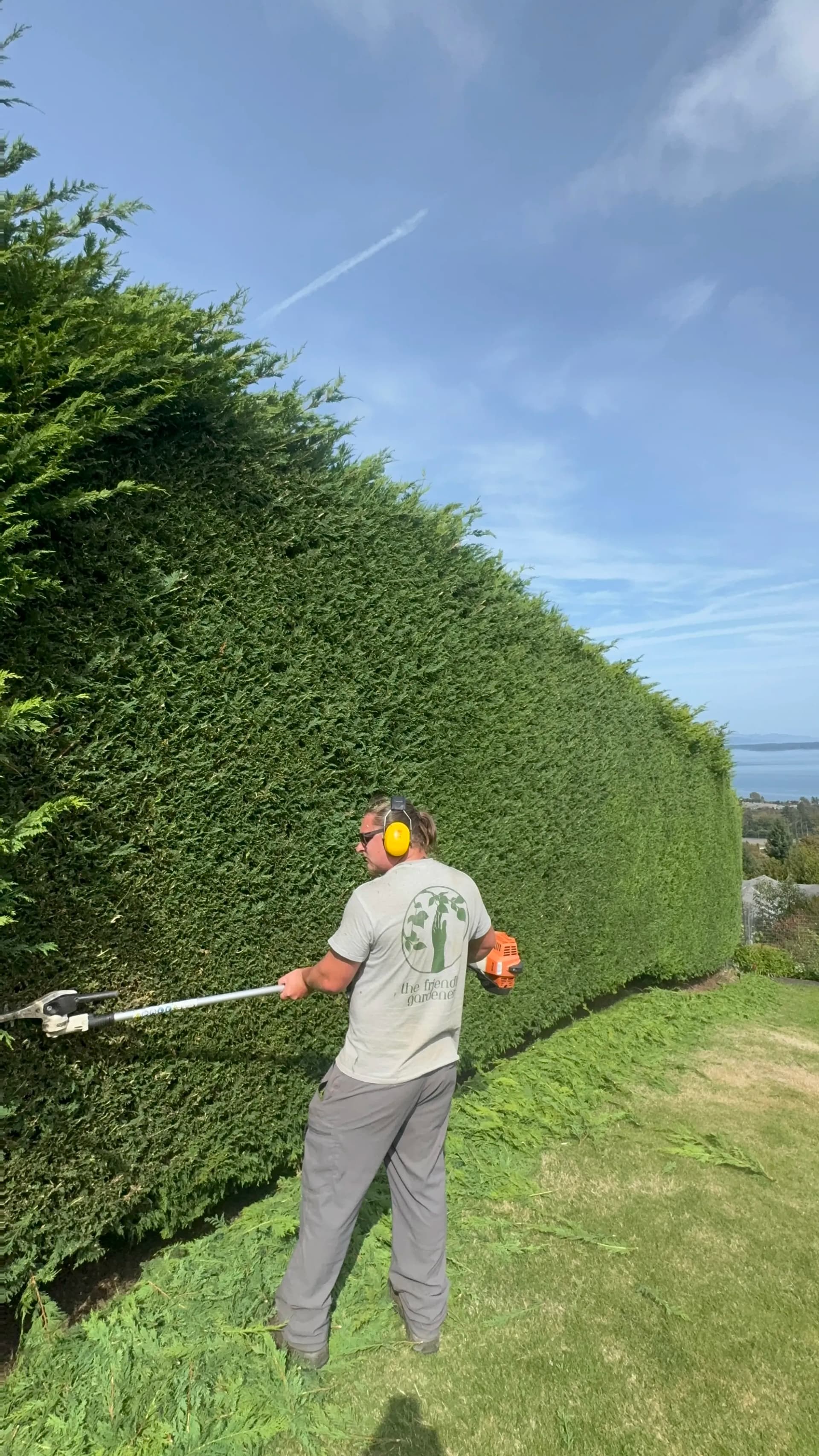 Gallery photos for Josh and Isaiah Tackle a Towering Cedar Hedge: Image #1