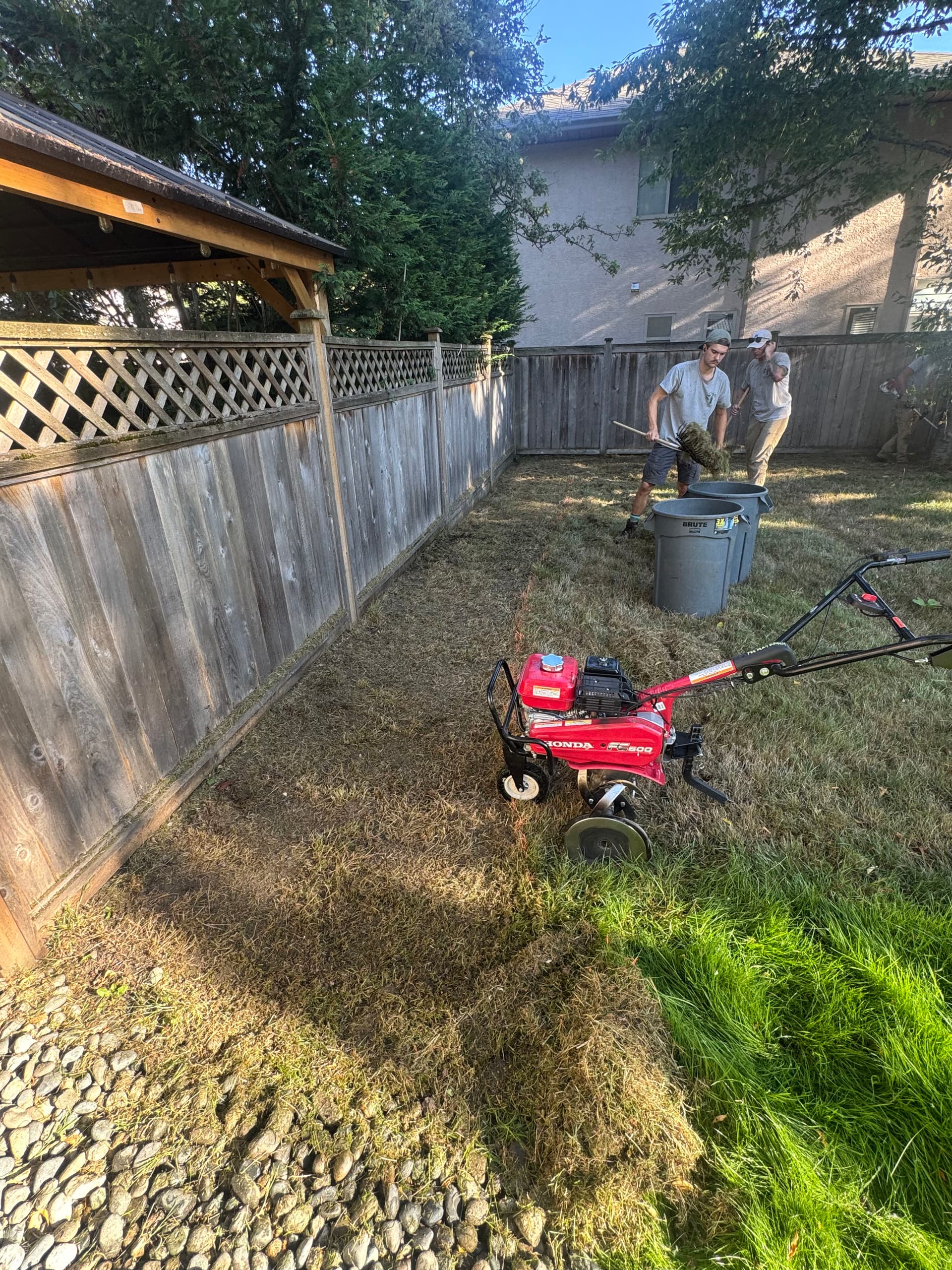 Gallery photos for Turning a Hard-to-Manage Fence Line Into a Low-Maintenance Garden: Image #1